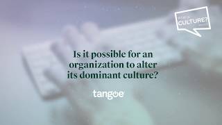 Snapshot: What is Culture Season 2 - Episode 16, Part 2: Organizational Psychology