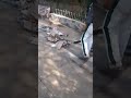Allah Yahdina Wyahfad Bladna Allah Yahdina Wyahfad Bladna