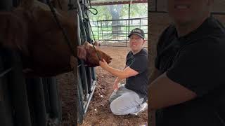 Some tricks to clipping heads in a chute