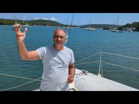 Embracing Resilience: Lessons from the Sea