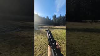 Century Arms C39V2 Pistol