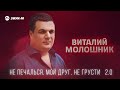 Виталий Молошник -  Не печалься мой друг, не грусти 2.0
