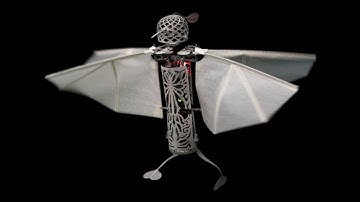 Flapper Drones - Demo