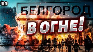 Срочно! Белгород в огне: тысячи россиян в панике бегут от войны