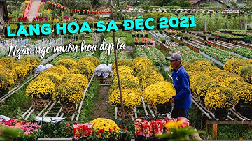 Làng Hoa Sa Đéc đón Tết 2021 | Rụng rời con tim khi khám phá vựa hoa lớn nhất miền Tây