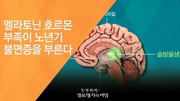 멜라토닌 호르몬 부족이 노년기 불면증을 부른다 - (2017.3.1_612회 방송)_건강백세, 호르몬 이야기