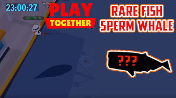 Play together | CÂU CÁ HIẾM / CÁ NHÀ TÁNG VƯƠNG MIỆN / SPERM WHALE...
