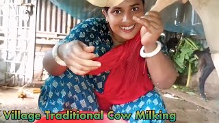 Village Traditional Cow Milking By Hand New Video Village Life With Maloti