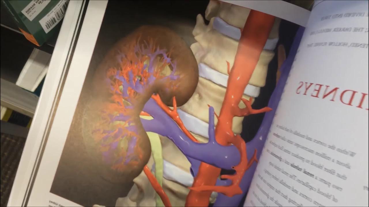 Blackhead King and Medical Jeopardy Medical Discussion YouTube