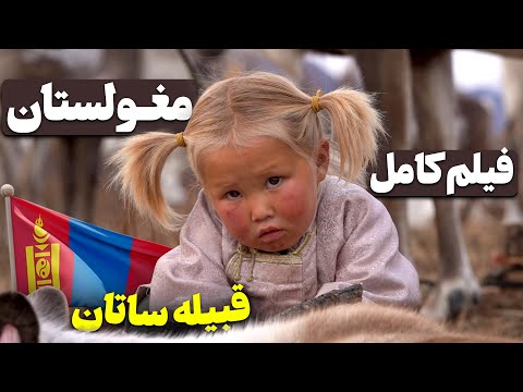 تصویری: تایگا چیست؟ جنگل های مخروطی تایگا: توضیحات، گیاهان و جانوران