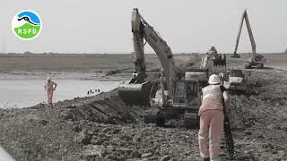 RSPB Wallasea Island Wild Coast Project