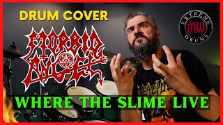 WHERE THE SLIME LIVE - MORBID ANGEL - DRUM COVER AS PLAYED BY PETE SANDOVAL - BY MAURICIO WEIMAR