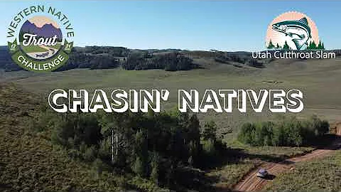 Chasin' Natives: Idaho Bull Trout
