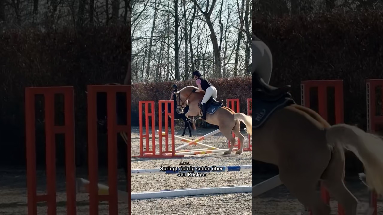 Erste SPRINGSTUNDE 🥹 