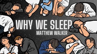 Famous Why We Sleep | Matthew Walker | Animated Visual Summary #whywesleep #Bestseller #sleep #sleepaid Wealth