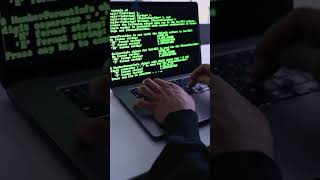apa itu database