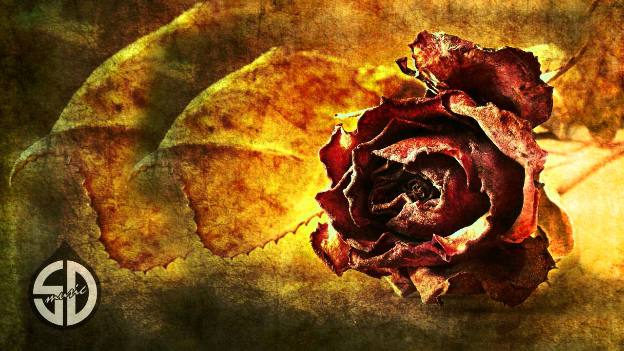 Five Seasons - Sweet Secrets