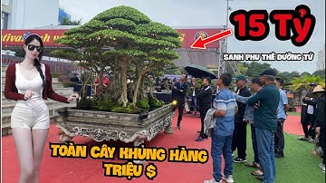 Triển Lãm Cây Cảnh Toàn Hàng Khủng Triệu Đô Tại Phú Thọ