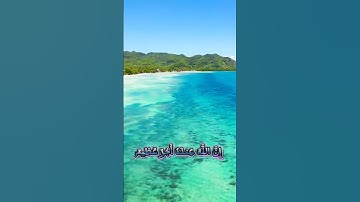 سورة التوبة و،.كا.نك تسمعها لأ،؛و.ل مر.ة🌼،؛💕،💞🌸؛،🌷💐💗بصوت الشيخ حمزة مدبو.ح 💮❤️..💝؛💕🏵️،.💗💕