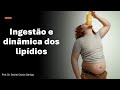 Lipídios: armazenamento, mobilização e uso no exercício (lipólise + beta-oxidação)