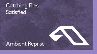 Catching Flies - Satisfied (Ambient Reprise) chords