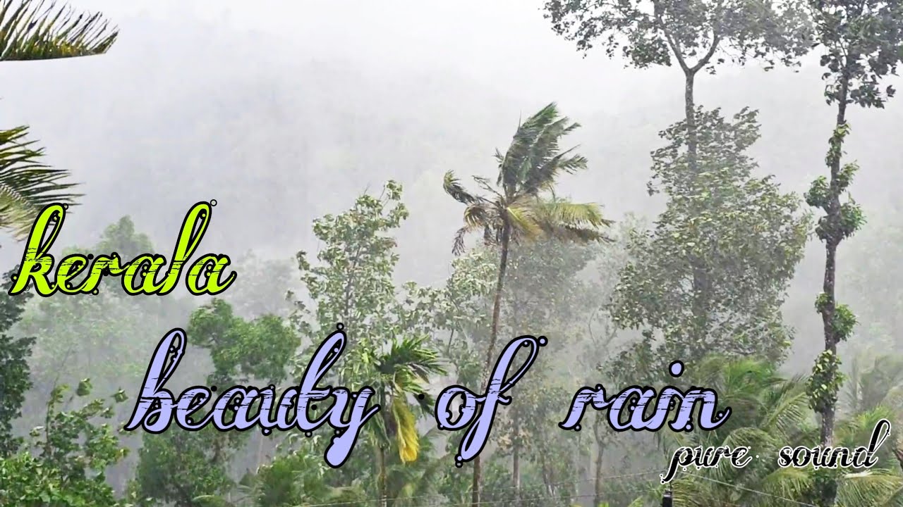 wind and heavy rain| asmr|monsoon in kerala|