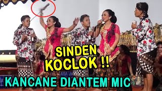 Bosok !! Percil kenek antem mic Sinden latah ha..ha..