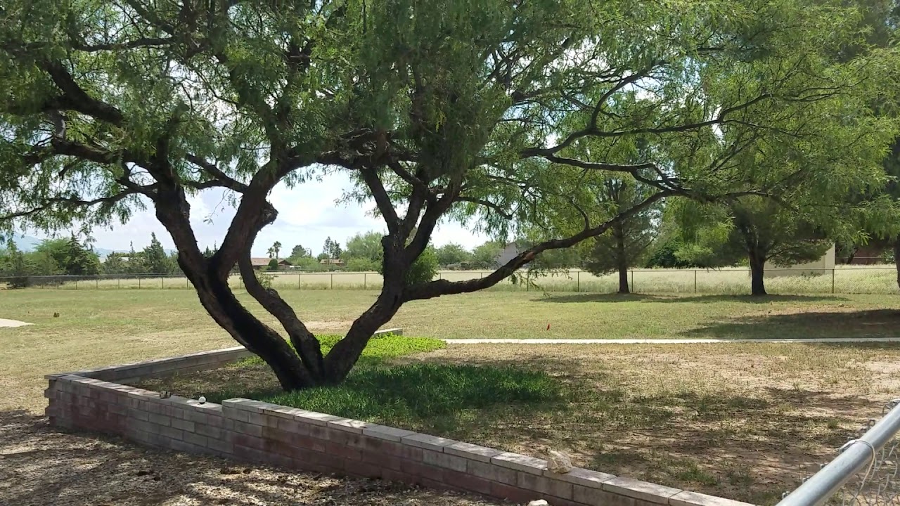 Sierra Vista Apache Ave Home