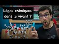  des legos chimiques dans le vivant  prix nobel de chimie 2022 