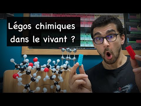 🤩 DES LEGOS CHIMIQUES DANS LE VIVANT ? Prix Nobel de chimie 2022 !