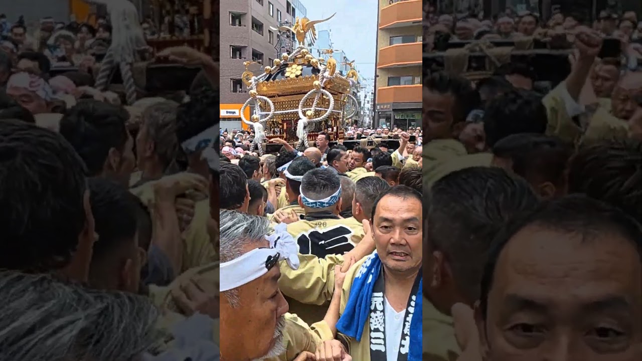 一時騒然…鳥越祭2026でトラブル発生か⁉️激しすぎる神輿渡御 #shorts #鳥越祭