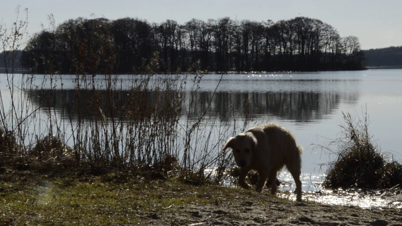 Ringsjön, Springtime 2017