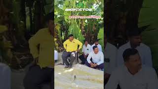 biofactor banana field day.