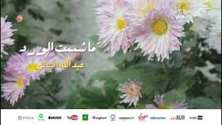 Abdullah Bayati - Ma chamamtou lward | ما شممت الورد | من أجمل أناشيد | عبد الله البياتي