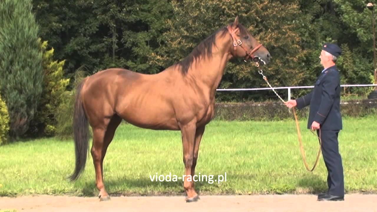 Belenus (Lomitas - Beaute) ur.1996 - YouTube