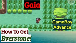 How To Get Everstone In Pokemon Gaia Gba Rom Hack