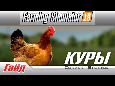 Farming Simulator 19. Гайд по курам