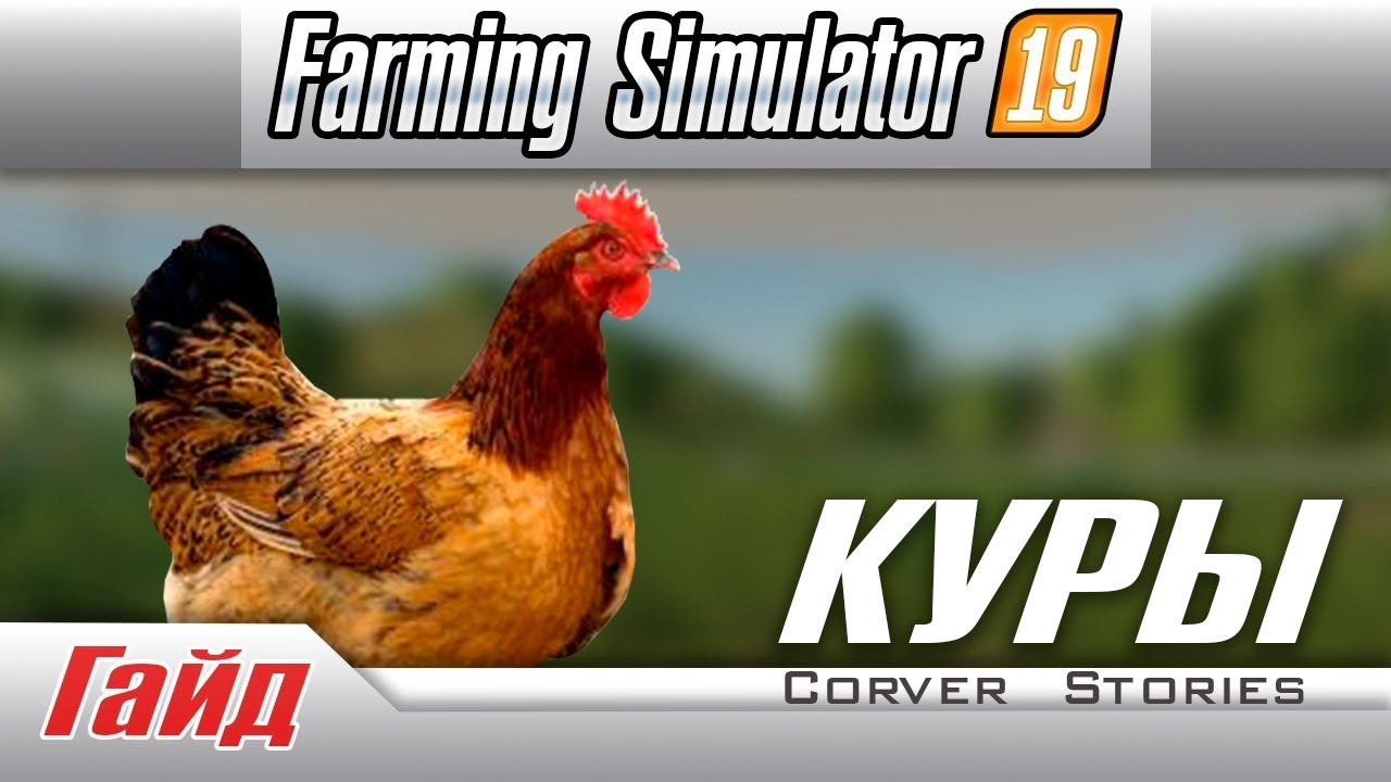 Farming Simulator 19. Гайд по курам