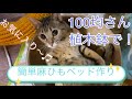 100均さんのプラスチック植木鉢で！春の季節にピッタリ！ペット用麻ひもベッド！