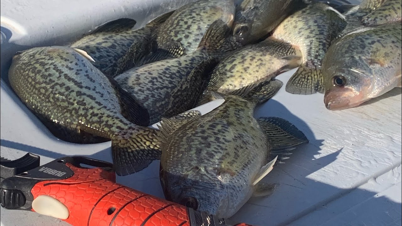 Coldest day of the year to be fishing but crappie got to eat🎣