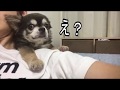ラズおじさん41 オーラルケアは萎えがち