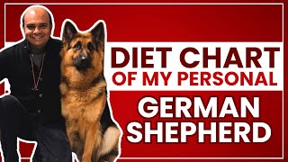 Diet Chart of My Personal German Shepherd By Baadal Bhandaari by Dogs Your Friends Forever 15,333 views 1 month ago 10 minutes, 18 seconds