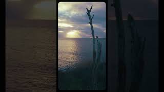 Denmark Gedser Odde | Baltic Sea coast | Field Recording