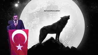 Sinan Ateş Efsane Konuşma ( Ülkü Ocakları Genel Başkanı )