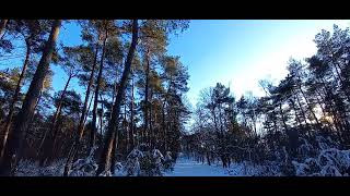 Wandelen in de sneeuw in de Loonse en Drunense Duinen by Doretteke 18 views 2 years ago 4 minutes, 17 seconds