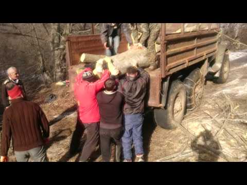 \"დმანისელები\" გერლიანების ოჯახში \"Дманисцы\" в семье Герлиани