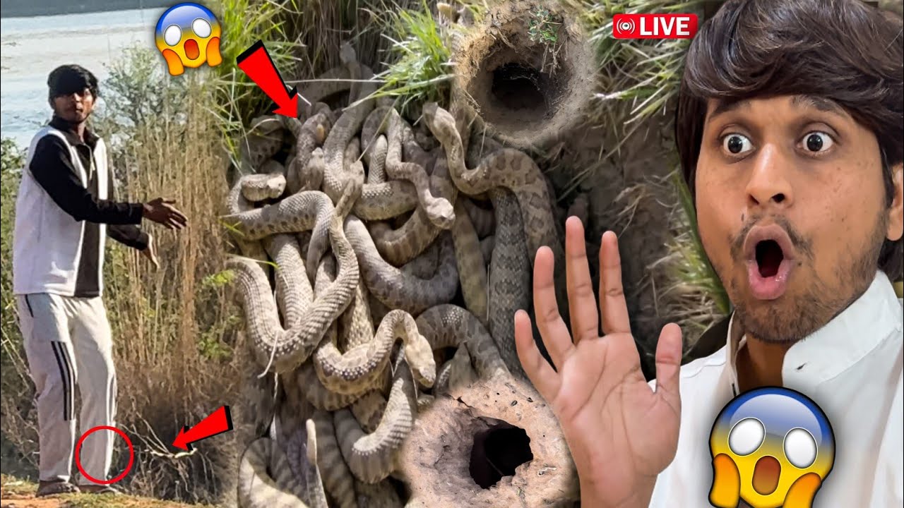 Latest Title & Thumbnail