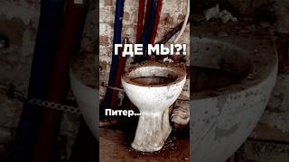 Страшная квартира, в которую мы попали СПб..