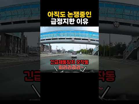아직도 논쟁중인 급정지한 이유 thumbnail