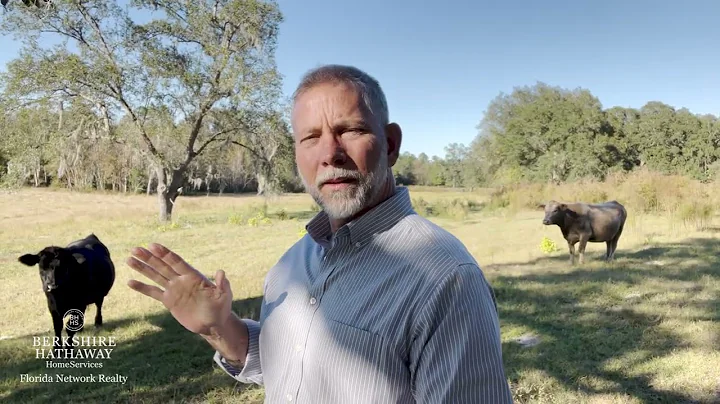 Land For Sale in Florida - 75 acres